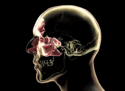 Donrams - Infrared Rhinitis Therapy Device