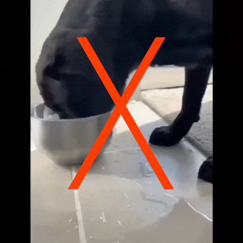 Donrams - Large Capacity Anti-Overflow Dog Drinking Water Bowl