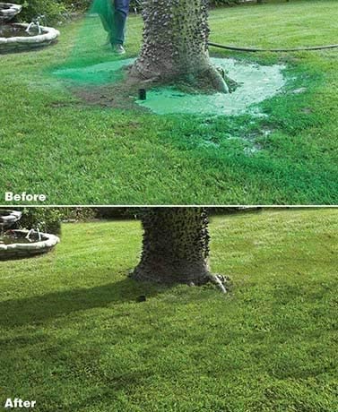 Donrams - Liquid Lawn Seed Spray - HouseHold Seeding System Liquid Lawn Seed