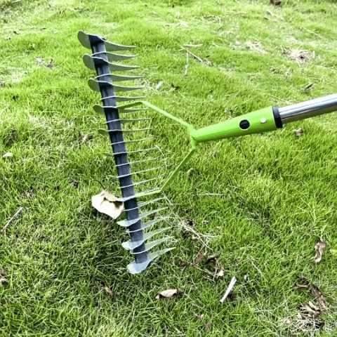 Donrams - Long Reach Thatch Rake for Dethatching Dead Grass