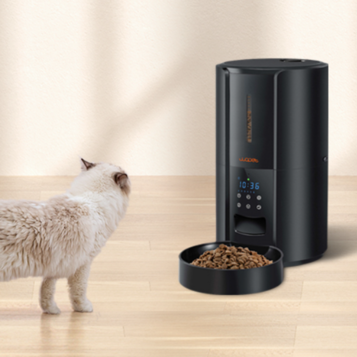 Exclusive Large Automatic Dog Cat Time Pet Food Feeder Dispenser-CQA9417502359848-564575 CQA9417502359848