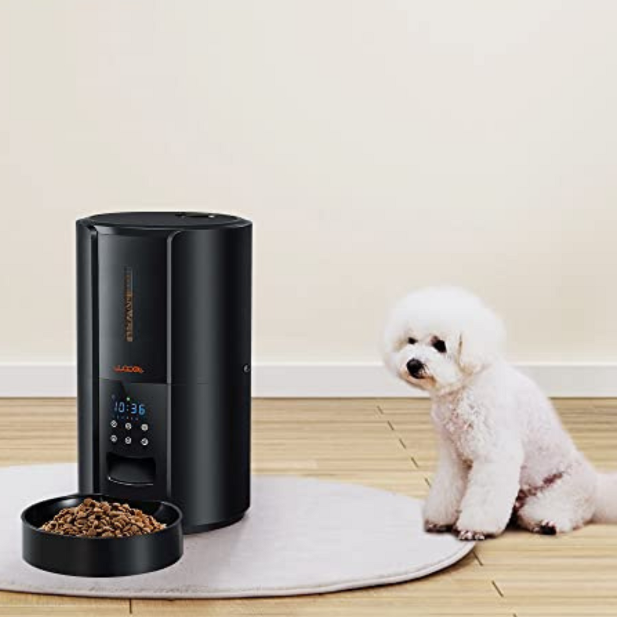 Exclusive Large Automatic Dog Cat Time Pet Food Feeder Dispenser-CQA9417502359848-564575 CQA9417502359848