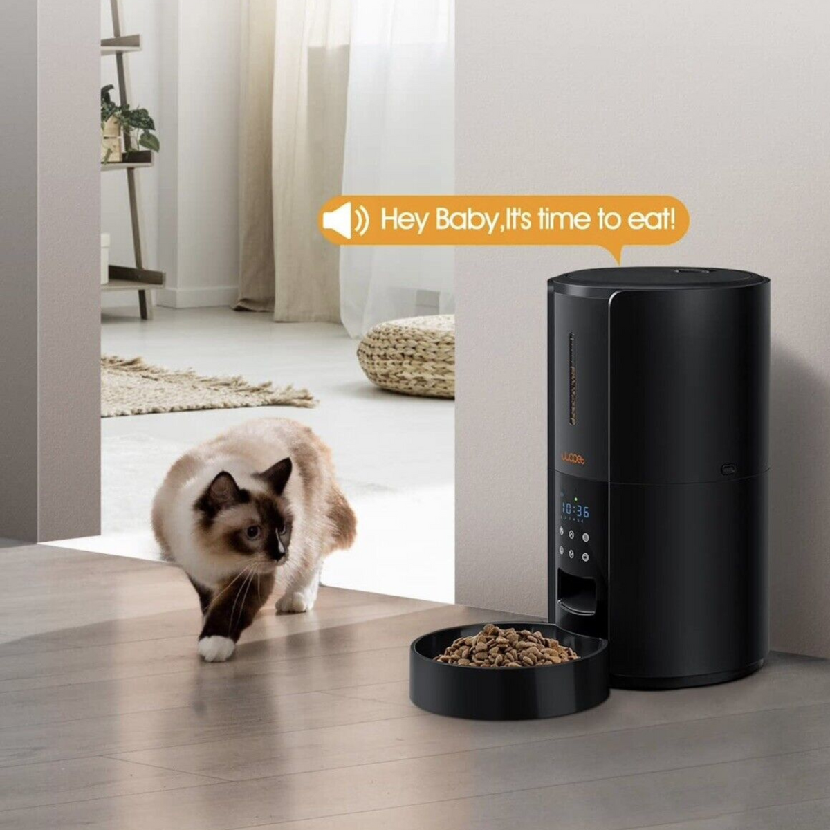 Exclusive Large Automatic Dog Cat Time Pet Food Feeder Dispenser-CQA9417502359848-564575 CQA9417502359848