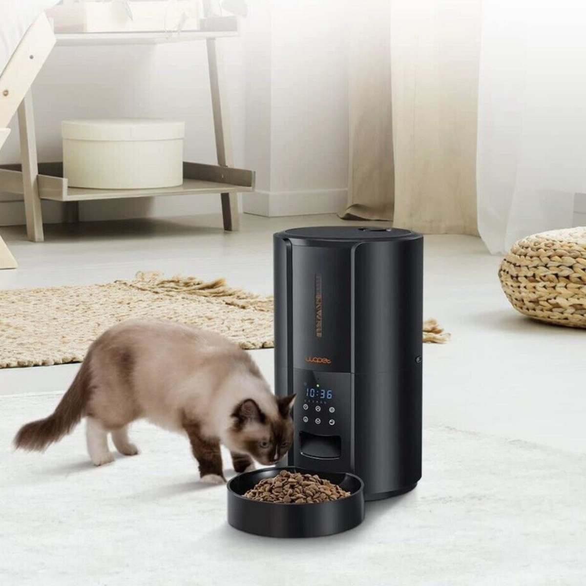 Exclusive Large Automatic Dog Cat Time Pet Food Feeder Dispenser-CQA9417502359848-564575 CQA9417502359848