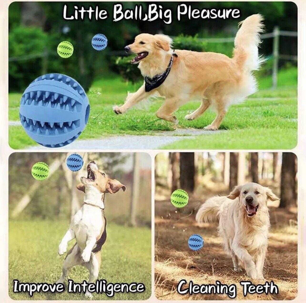 Interactive Rubber Ball-564575 