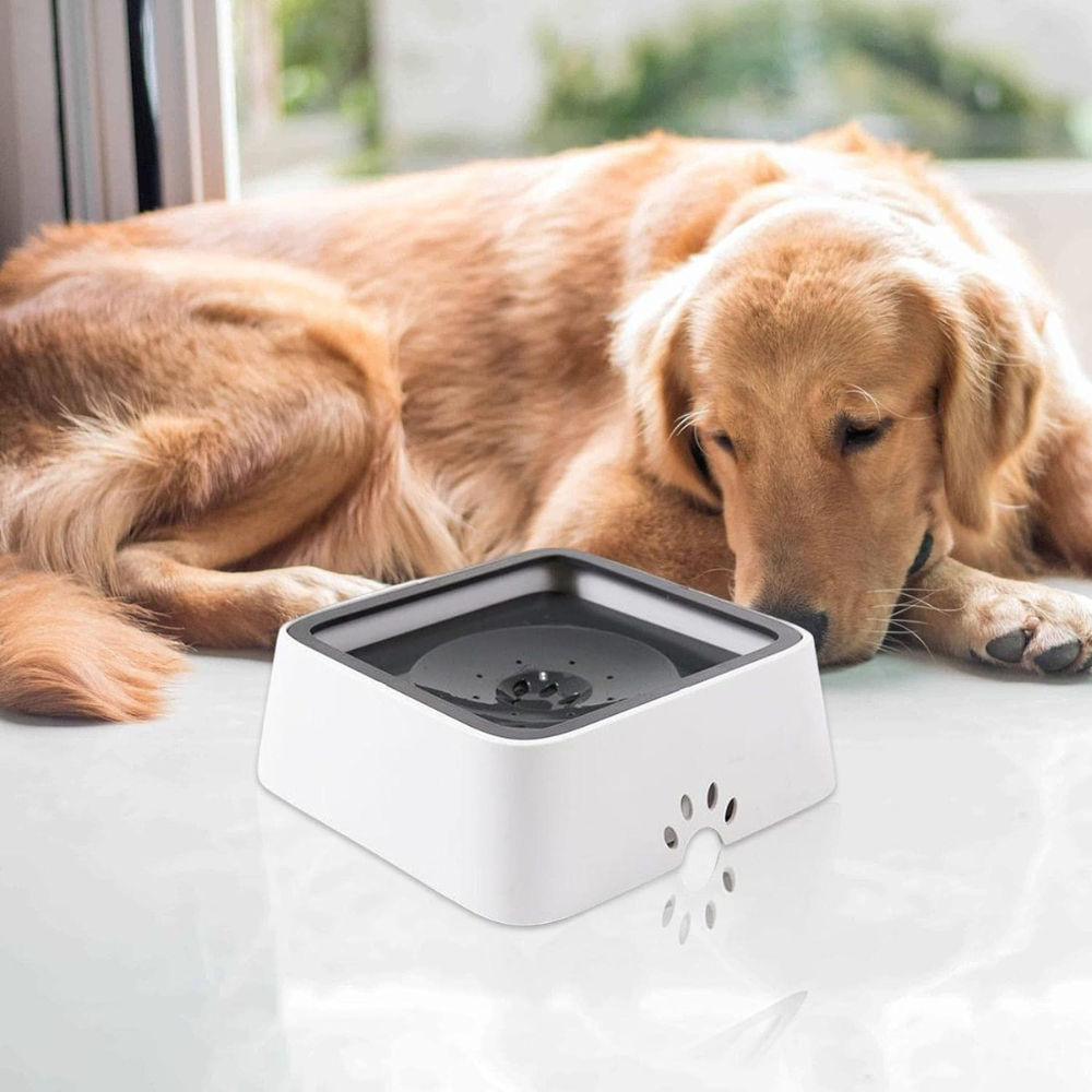 Large Capacity Anti-Overflow Dog Drinking Water Bowl-564575 