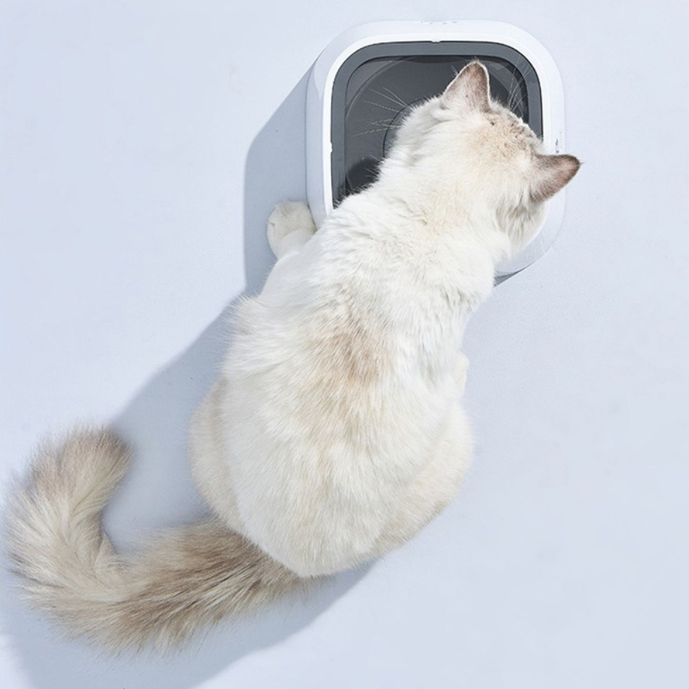 Large Capacity Anti-Overflow Dog Drinking Water Bowl-564575 