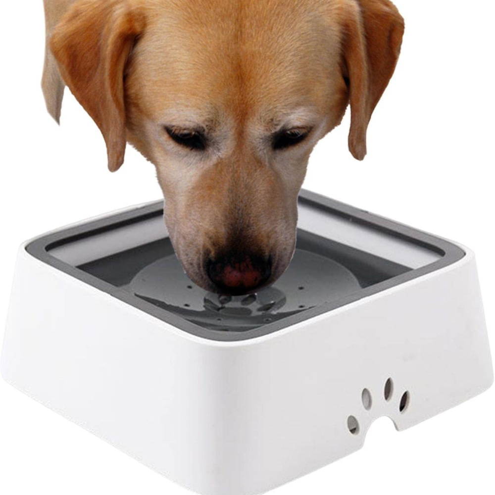 Large Capacity Anti-Overflow Dog Drinking Water Bowl-CQA9417475850536-Gray-564575 CQA9417475850536