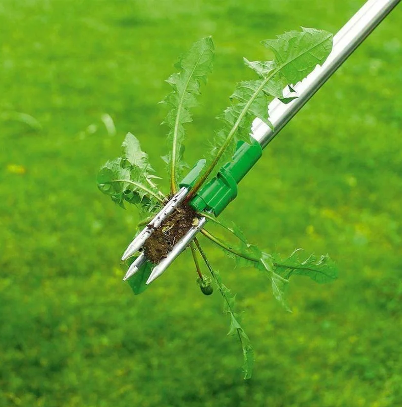 Long Handle Standing Weed Puller-CQA9417493545256-564575 CQA9417493545256