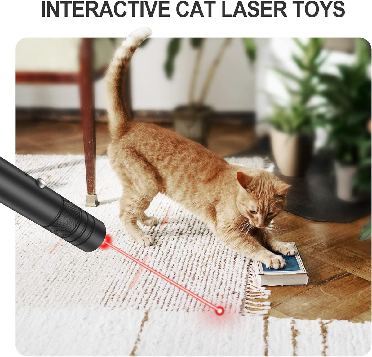 Long Range Green Laser Pointer High power-564575