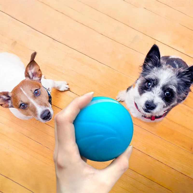 Magic Ball Pet Motion Toy-564575 