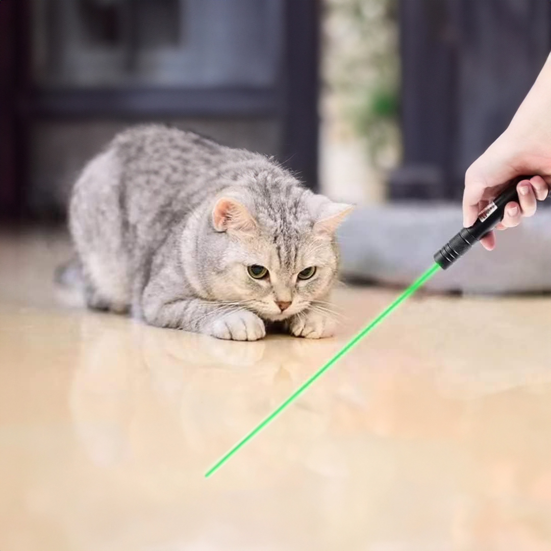Military Grade 303 Laser Pointer-Donrams-544a1AWQ-CQA 9416631124264-CQA 9416631124264143