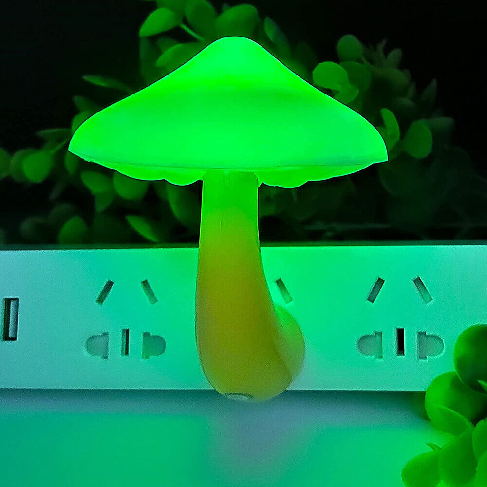 Mushroom Light-564575 