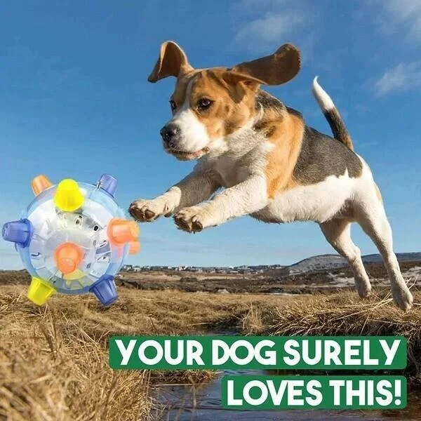 New Jumping Activation Ball For Dogs-CQA9417500328232-564575 CQA9417500328232