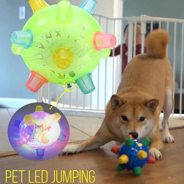 New Jumping Activation Ball For Dogs-CQA9417500328232-564575 CQA9417500328232