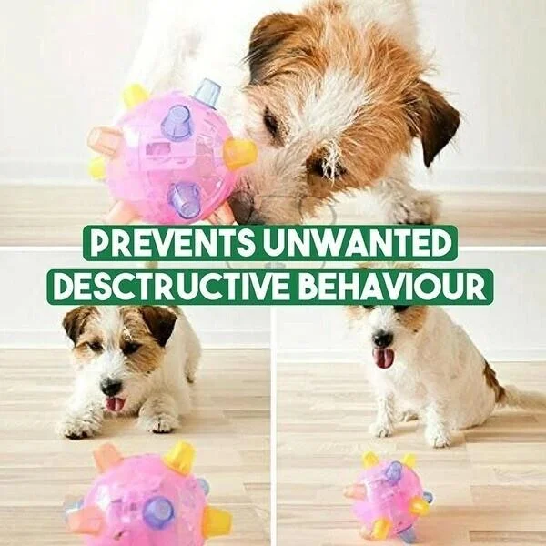 New Jumping Activation Ball For Dogs-CQA9417500328232-564575 CQA9417500328232