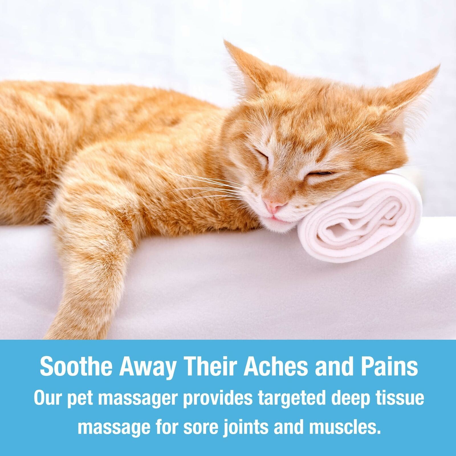 Pet Massager-CQA9417499869480-564575 CQA9417499869480