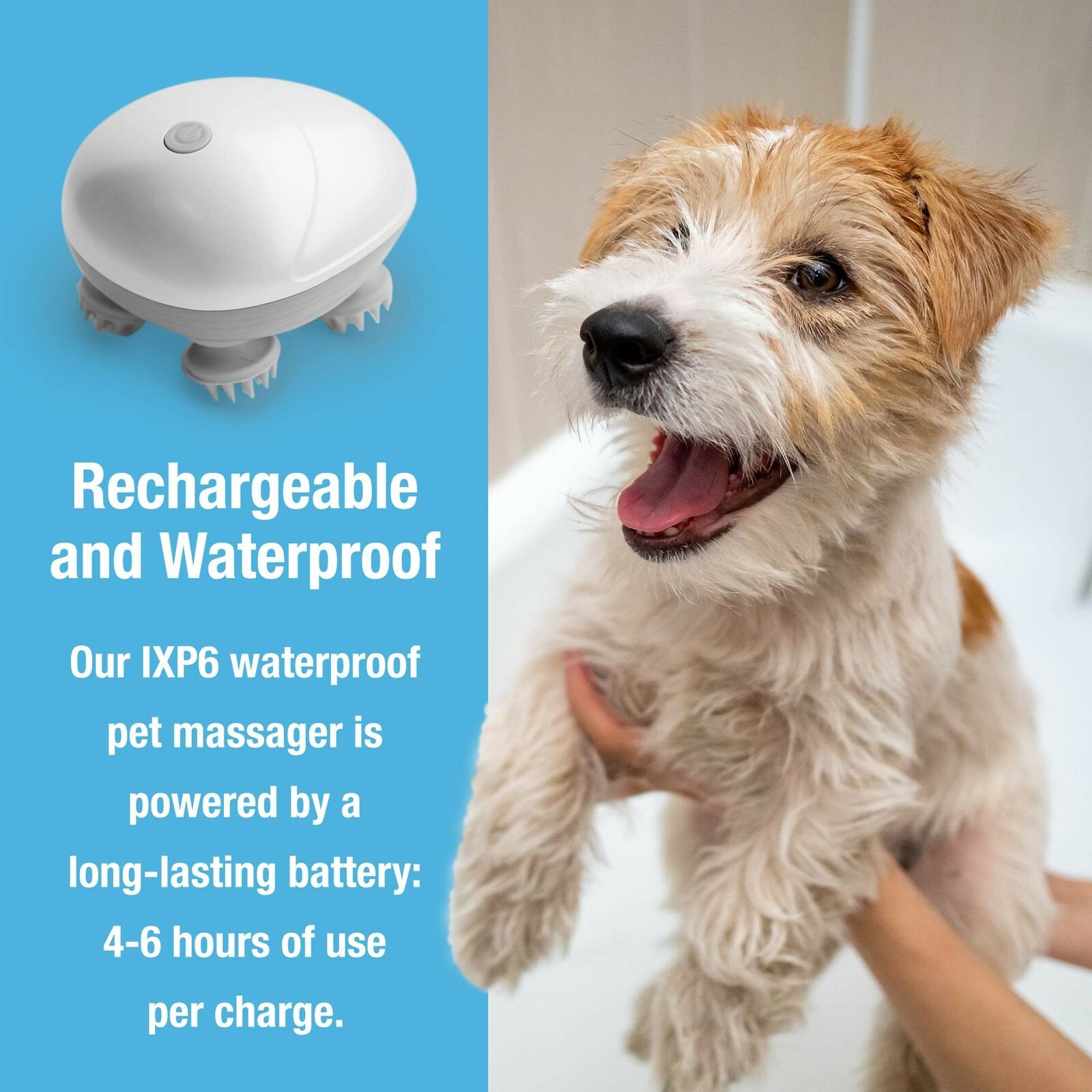 Pet Massager-CQA9417499869480-564575 CQA9417499869480