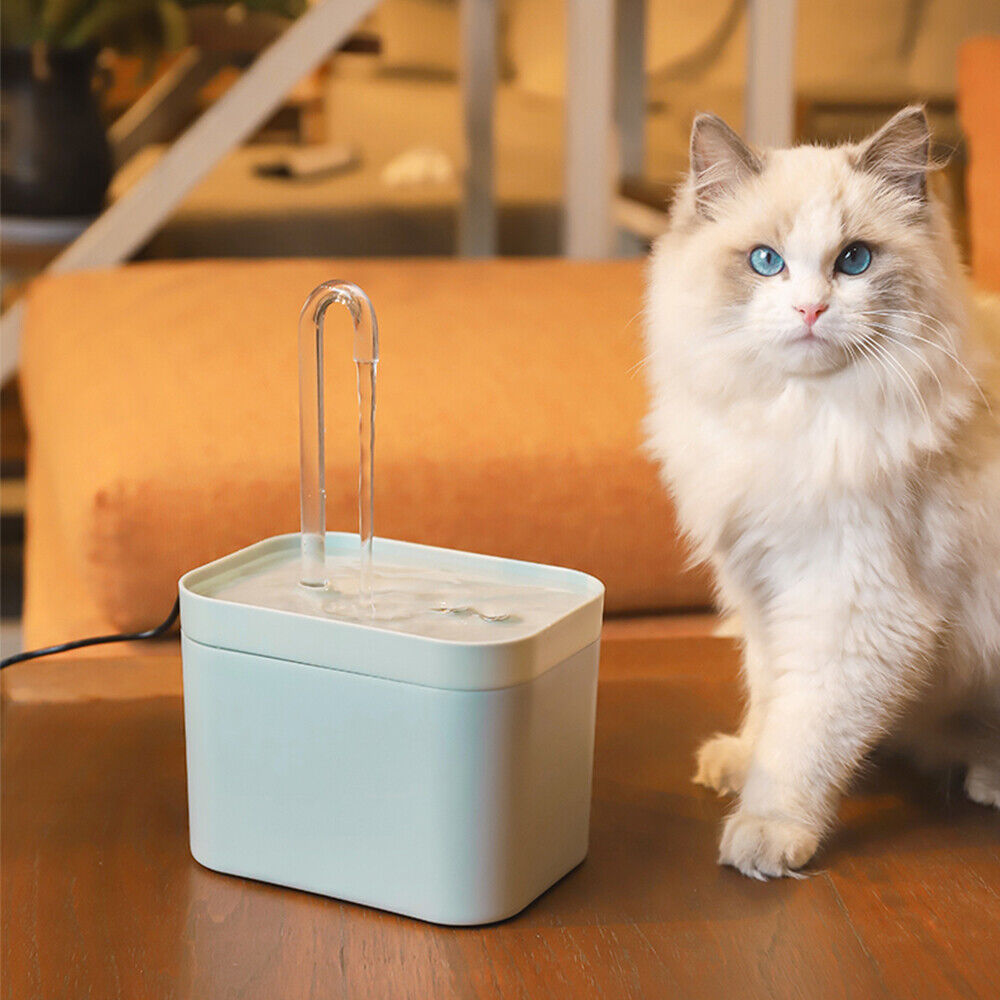 Pet Water Dispenser-564575 