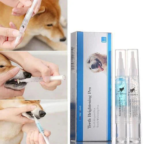 Pet's Teeth Health By Repairing and Preventing Disease-CQA9417479356712-564575 CQA9417479356712