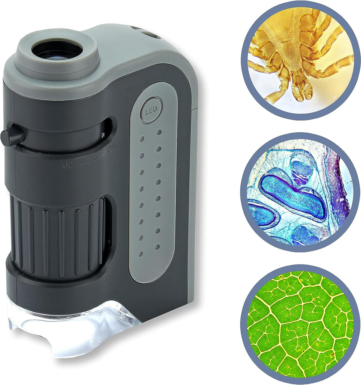 Portable Handheld Pocket Microscope-CQA9417470738728-564575 CQA9417470738728